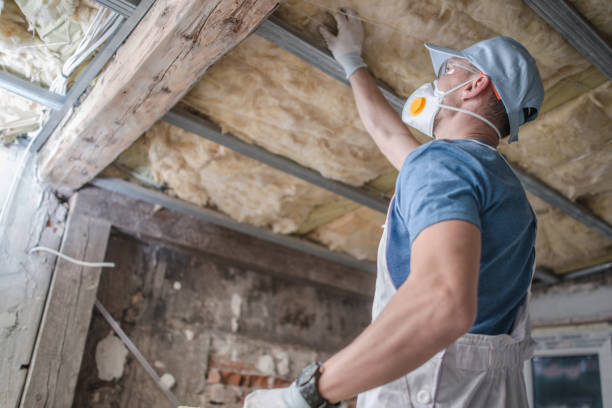 Types of Insulation We Offer in Palmetto, FL
