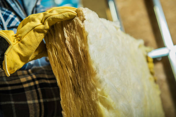 Best Geographic-Specific Insulation Services in Palmetto, FL