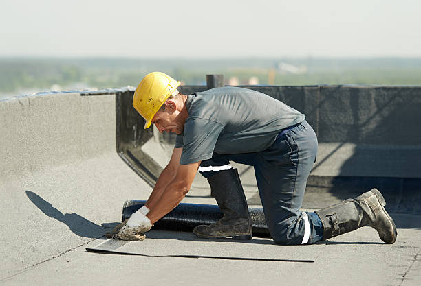  Palmetto, FL Insulation Contractor Pros