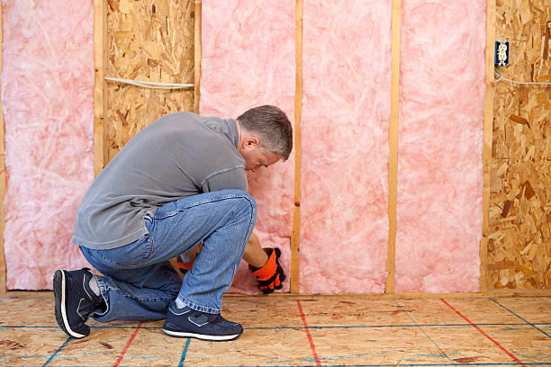 Best Energy Efficiency Insulation in Palmetto, FL