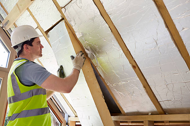 Best Insulation for Specific Applications in Palmetto, FL