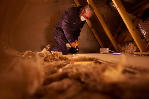 Best Specialized Insulation Services in Palmetto, FL